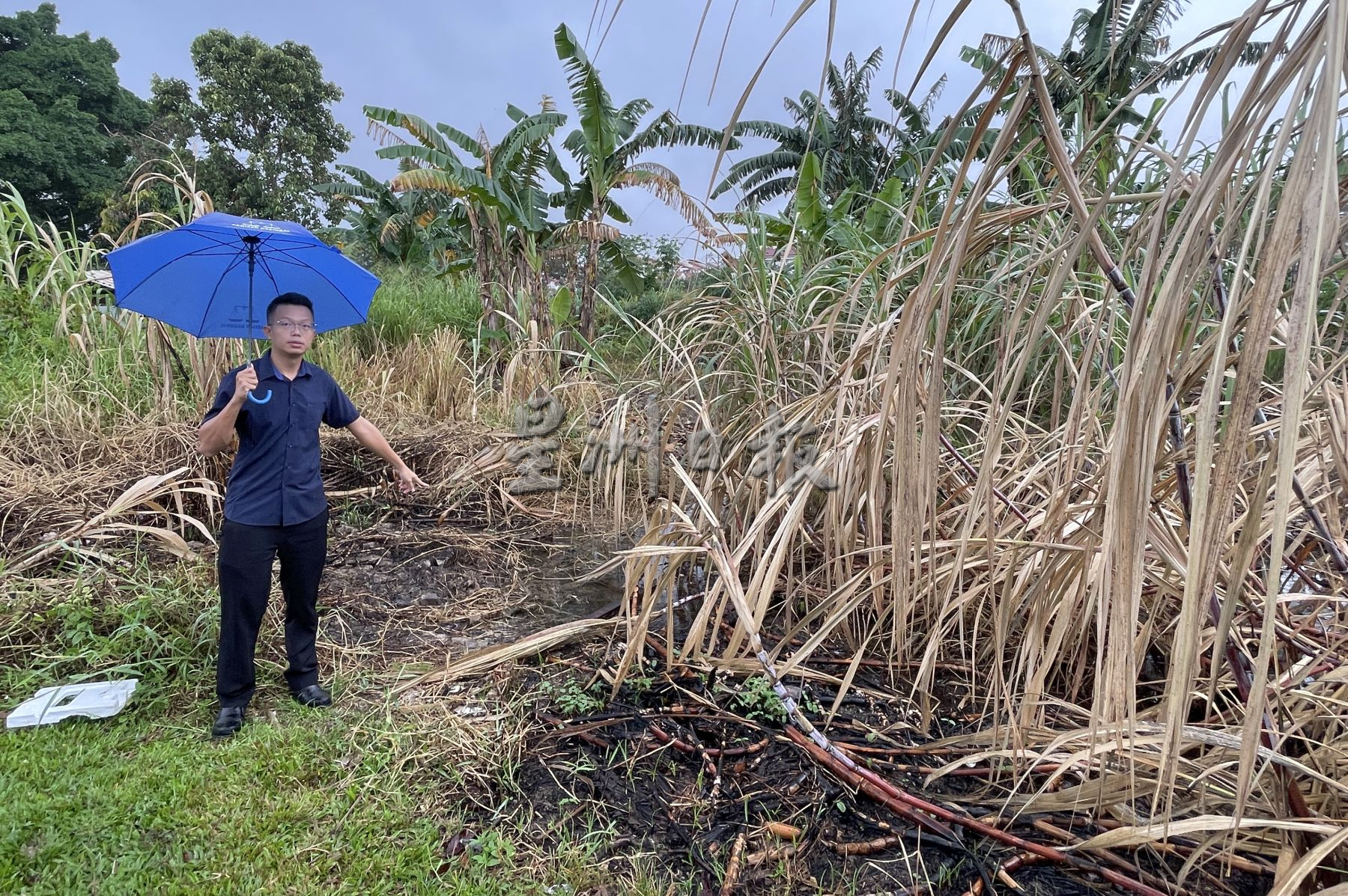 （古城第三版主文）河堤太低 ·罗舜生建议填高河堤