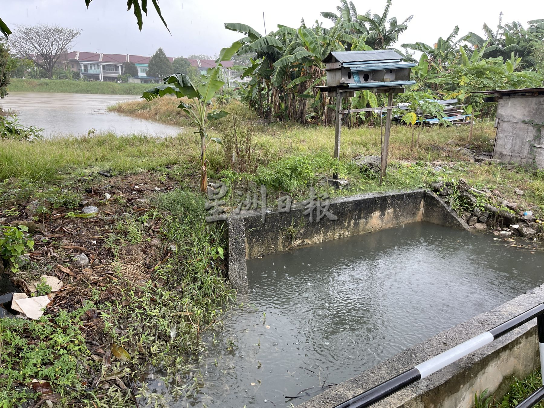 （古城第三版主文）河堤太低 ·罗舜生建议填高河堤