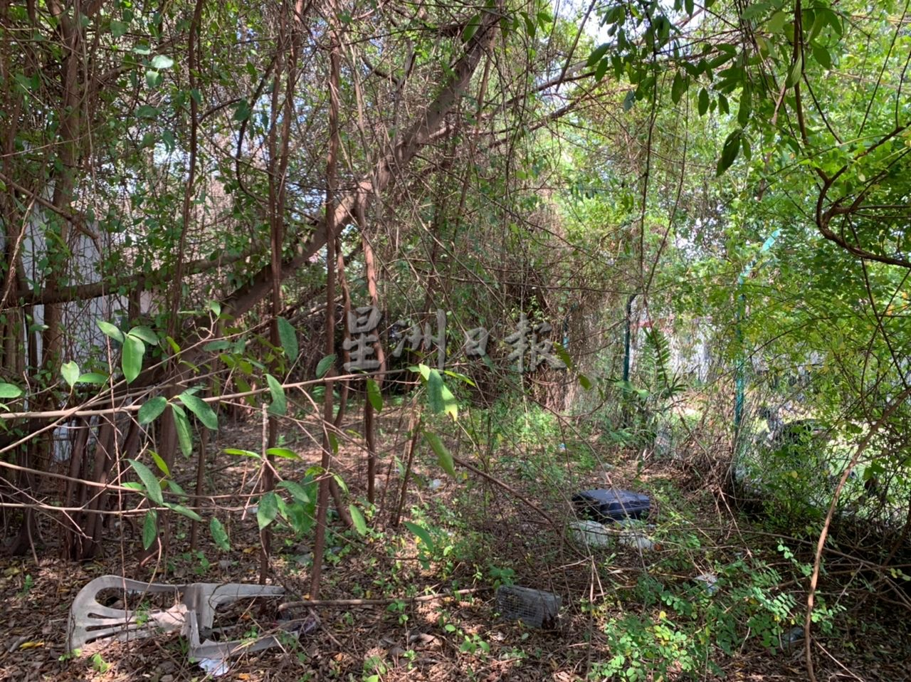 (古城第二版主文)废置化粪池衍生民生问题 林朝雁促善用地段免引贼藏身