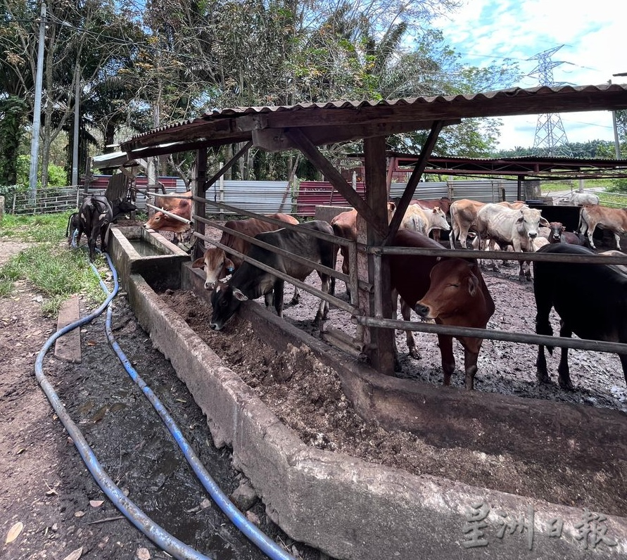 敬业乐业——保有热忱寻求工作乐趣与突破