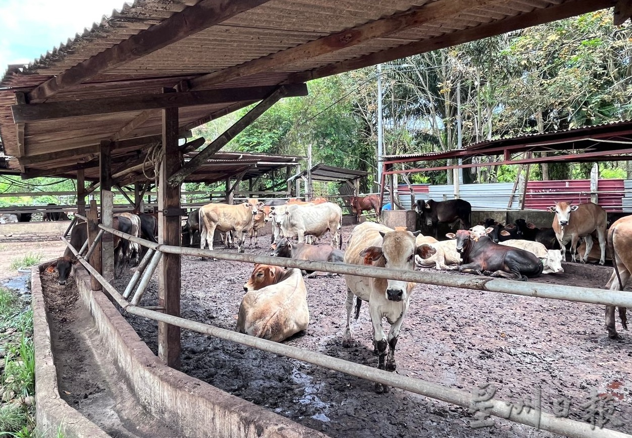 敬业乐业——保有热忱寻求工作乐趣与突破