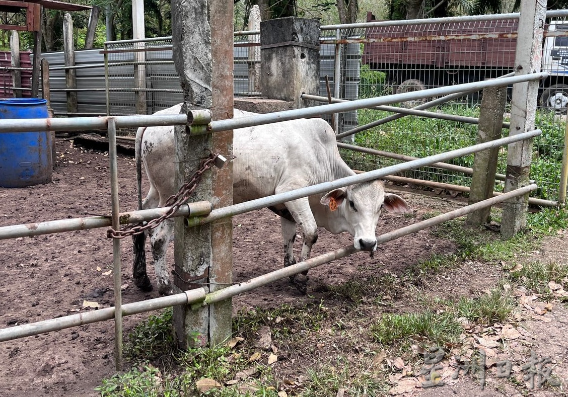 敬业乐业——保有热忱寻求工作乐趣与突破