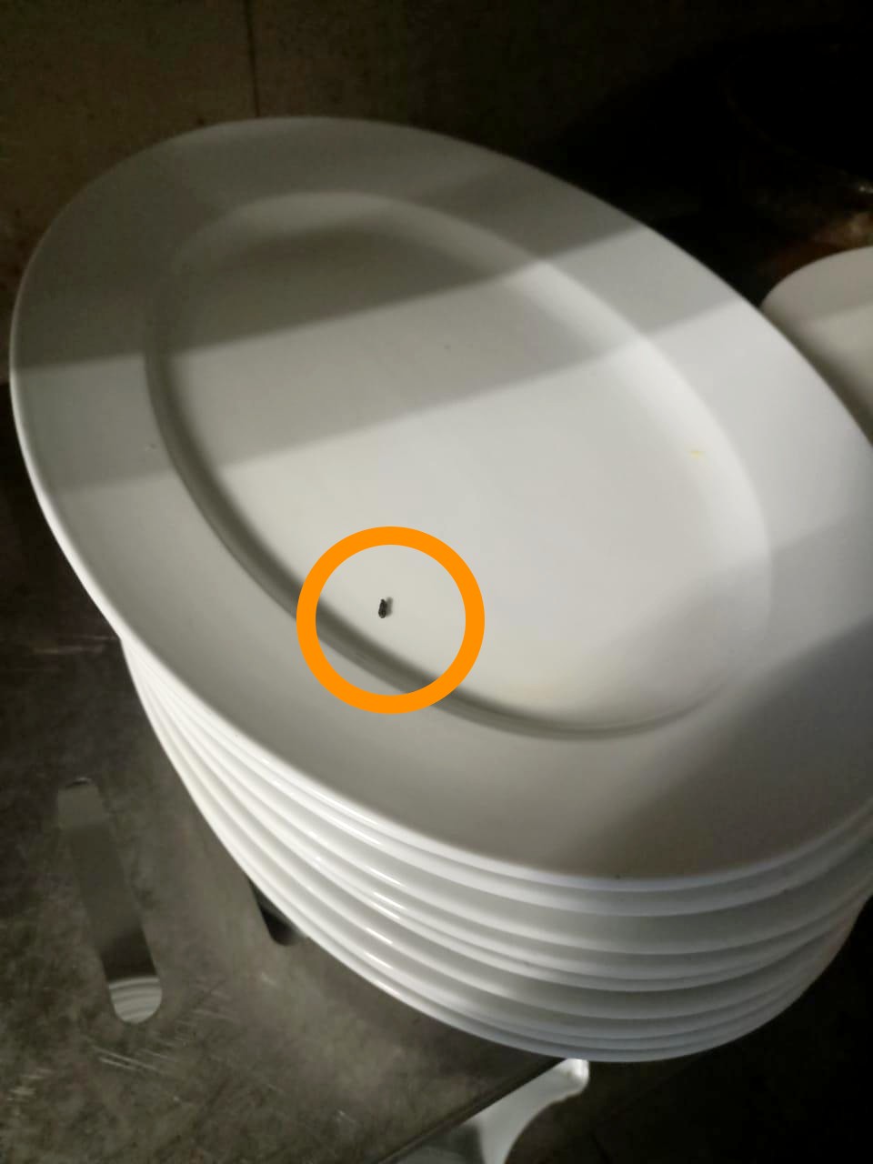 (古城第四版主文)厨房肮脏有鼠粪·2酒店餐厅接关闭令