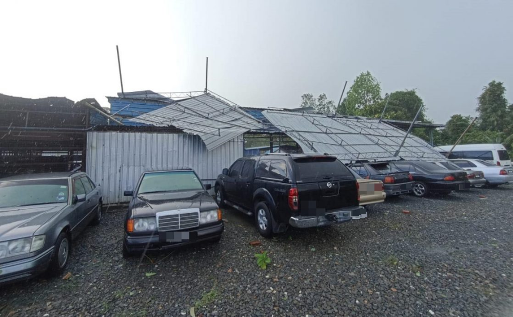 新笃北方大学今日下午一场暴风雨,多棵大树倒塌压毁轿车。