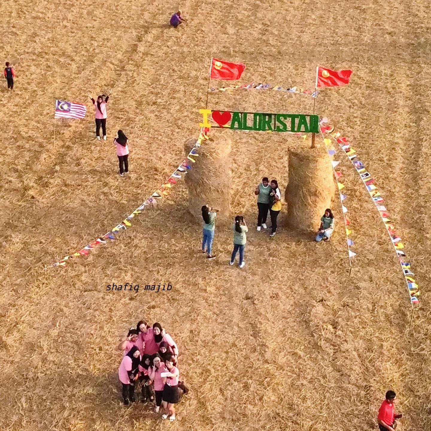 米都重现卷卷草布置场景 吸引民众拍照打卡