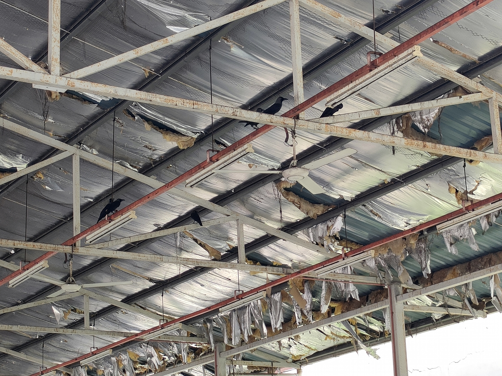 (大北马)荒废十多年 斯里绍嘉娜组屋小贩中心将重整