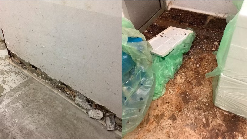 (已签发)柔:狮城二三事:厂房卫生不合标准 海产加工厂罚款3000新元