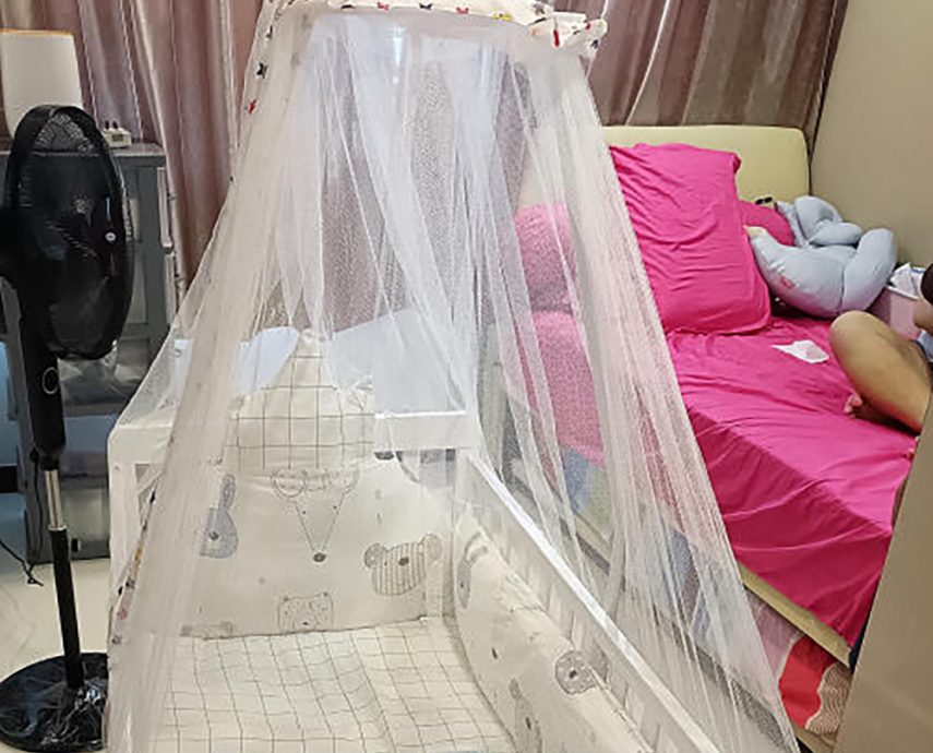 （已签发）柔：狮城二三事：浴室常现蛾蚋　9年饱受困扰　屋主：忧飞进初生婴儿嘴