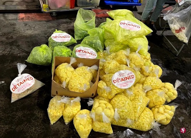 (已签发)柔:狮城二三事:涉走私230公斤蔬果 被移民局和食品局识破