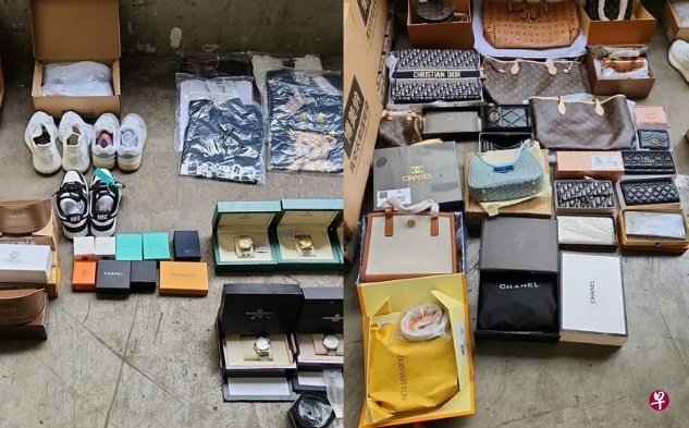 (已签发)柔:狮城二三事:狮城移民局破获企图走私案 起获74件疑似冒牌货