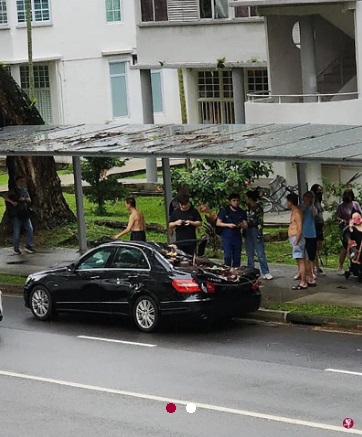 (已签发)柔::狮城二三事:中峇鲁路大树倒下阻断交通 砸中走道与轿车一人送院