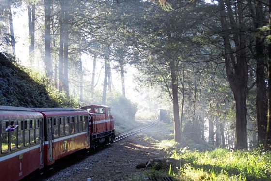 Kim Teoh／美丽的预想与机会
