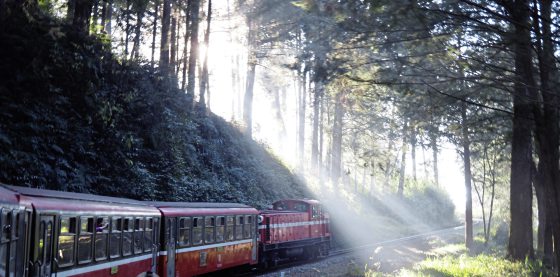 Kim Teoh／美丽的预想与机会