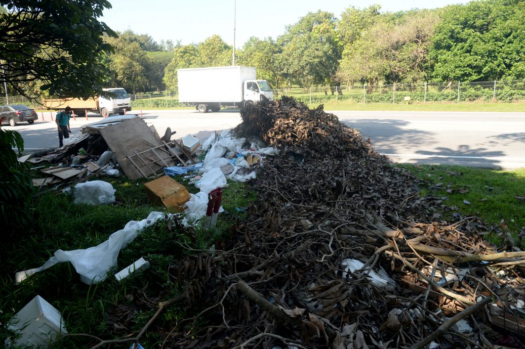 me03主文 -大都会 /欧阳捍华PC:大路旁的非法垃圾 / 5图