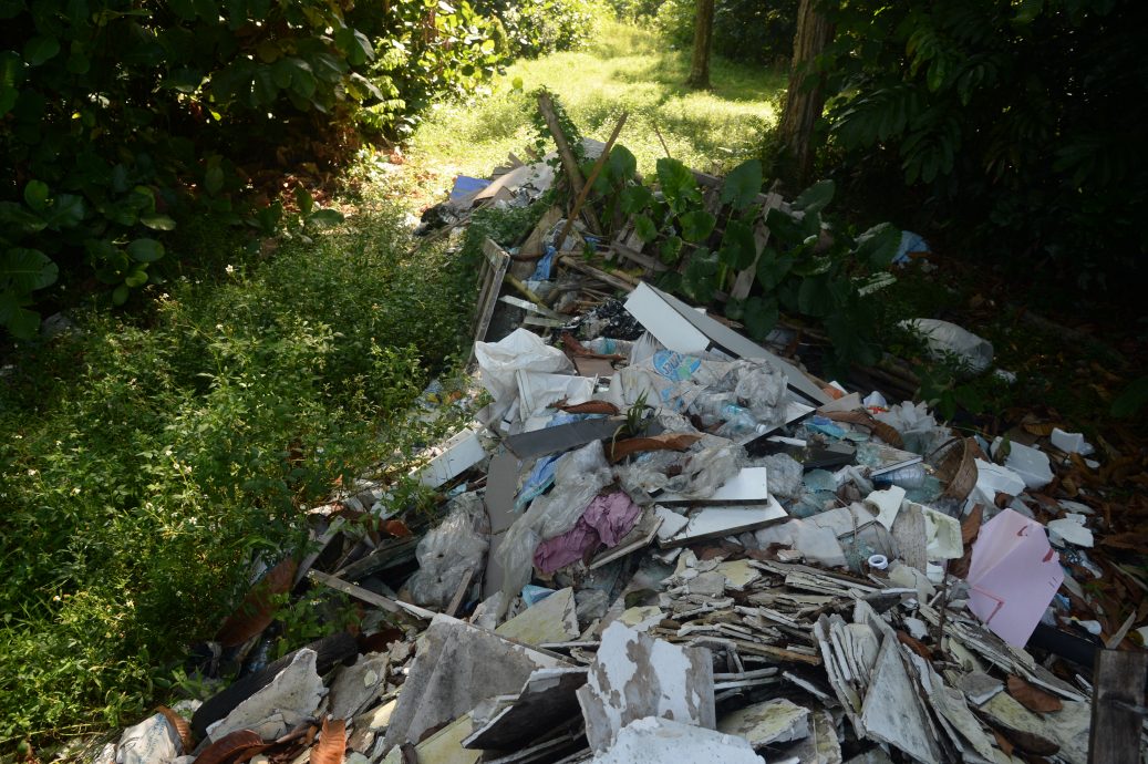 me03主文 -大都会 /欧阳捍华PC:大路旁的非法垃圾 / 5图