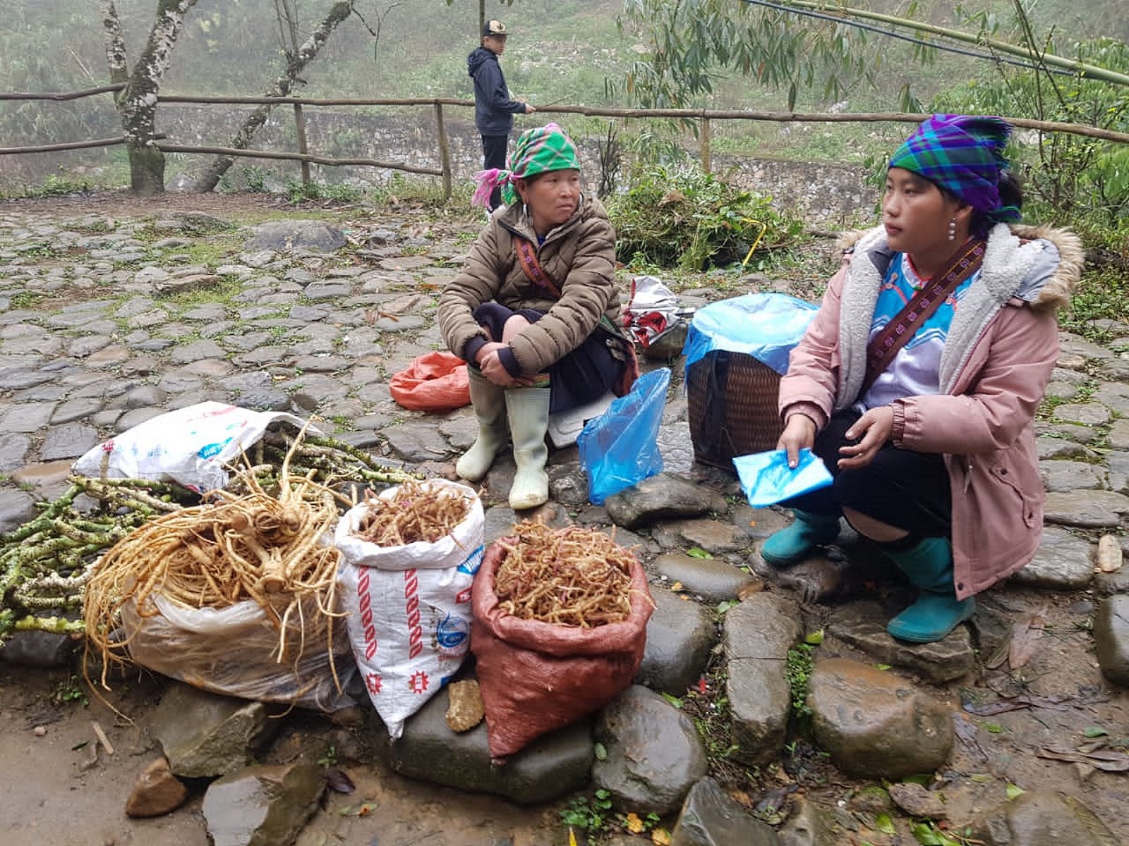 NS专题/越南成为最近马口人热门旅游景点