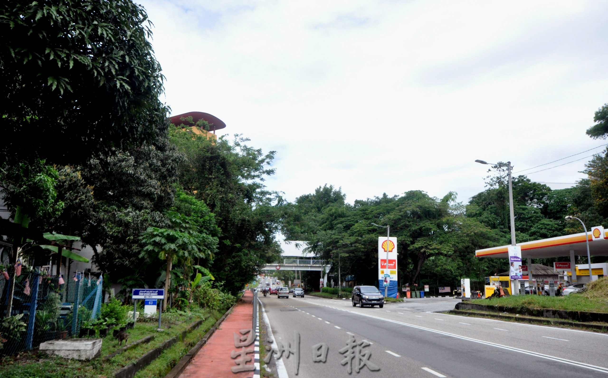 NS主文／长命雨带来“后遗症”，芙蓉出现树倒及路洞问题