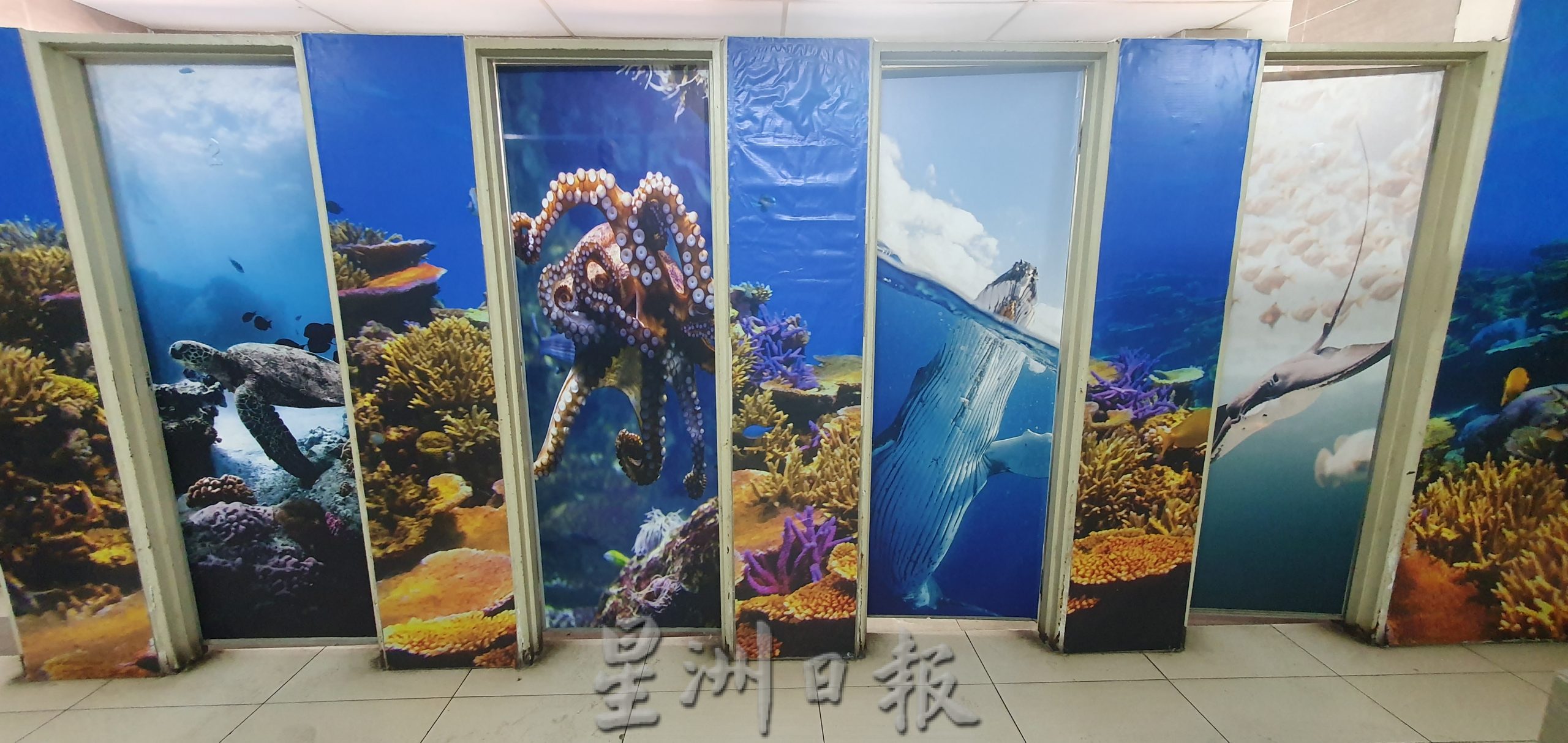 NS芙蓉/芙公市“海底世界”公厕再玩新花样,装两LED灯贴近主题也变打卡点