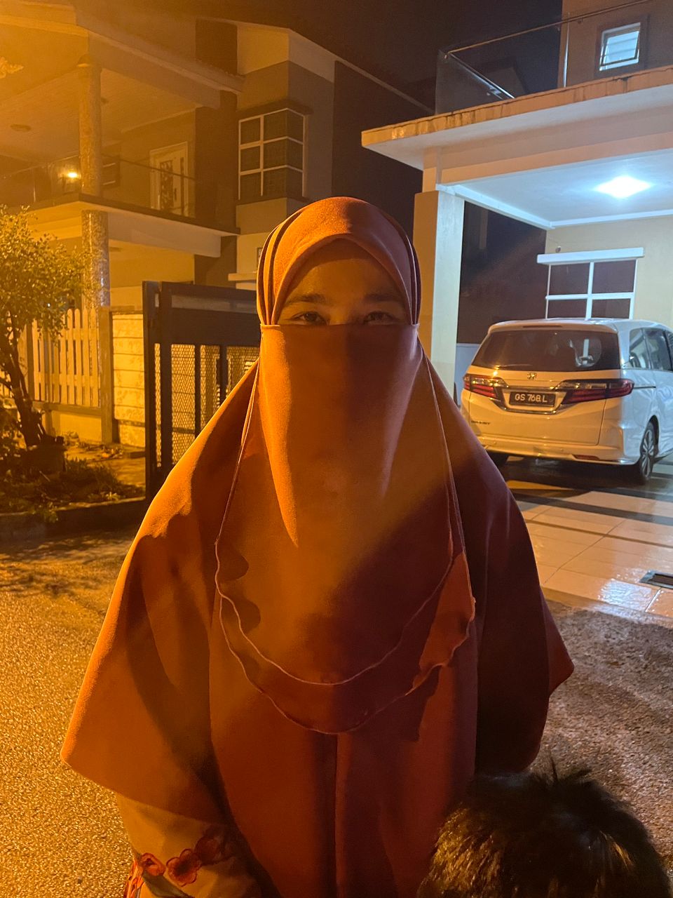 NS芙蓉/黄泥来袭,20户遭殃