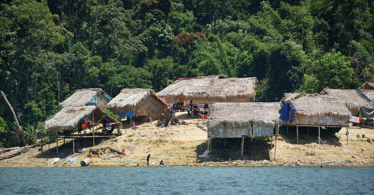 107相机陷阱追踪 原住民守护 霹柏隆现小虎数量回升