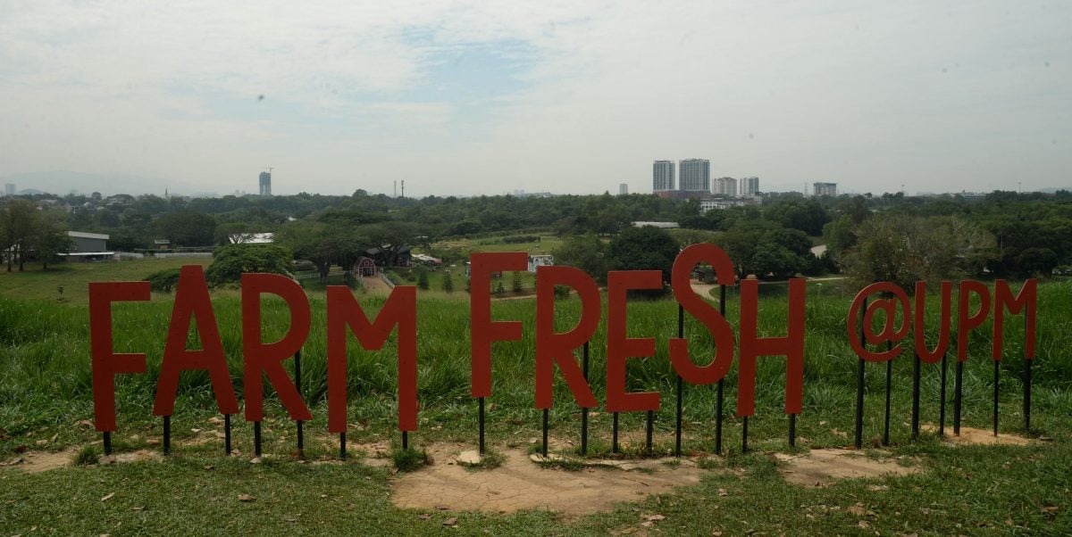 14日见报//大都会-一起出游：The Acre By Farm Fresh