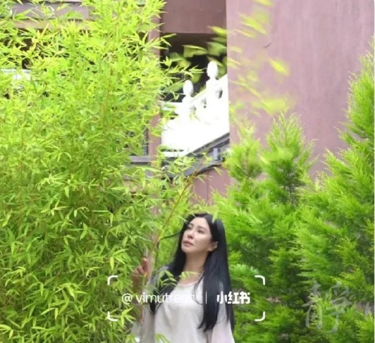 56岁王祖贤细看脸僵 被质疑做医美