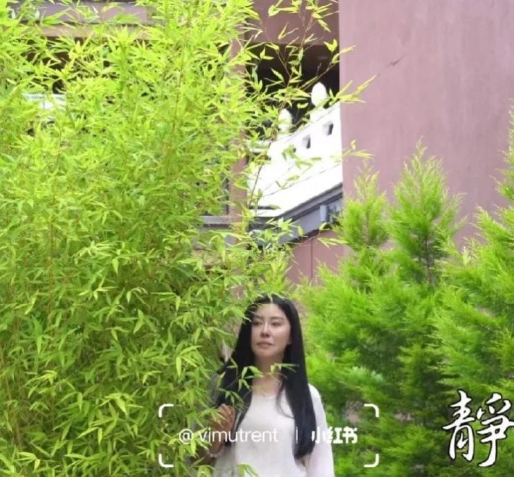 56岁王祖贤细看脸僵 被质疑做医美