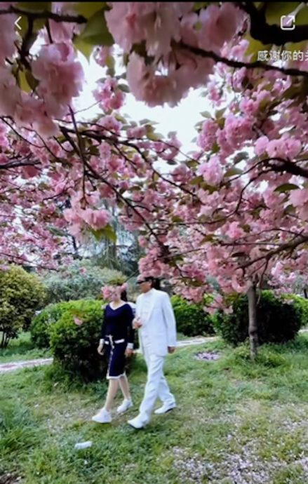 86岁谢贤爆爷孙恋？真相揭晓网轰：太离谱