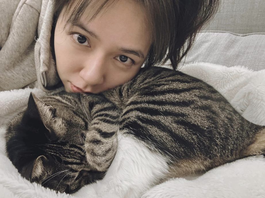 ​合照张惠妹表情超冏   夏于乔完美诠释哭笑不得