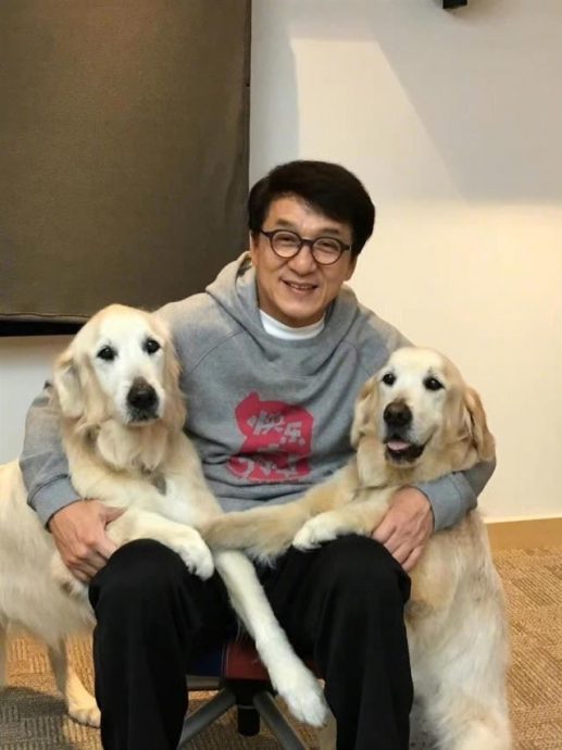 “很高兴和这幺烂演员合作” 成龙宣传语出惊人