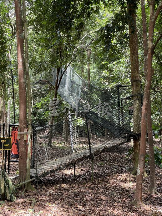 《用眼睛去旅游》：植物公园