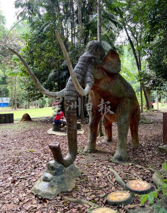 《用眼睛去旅游》：植物公园