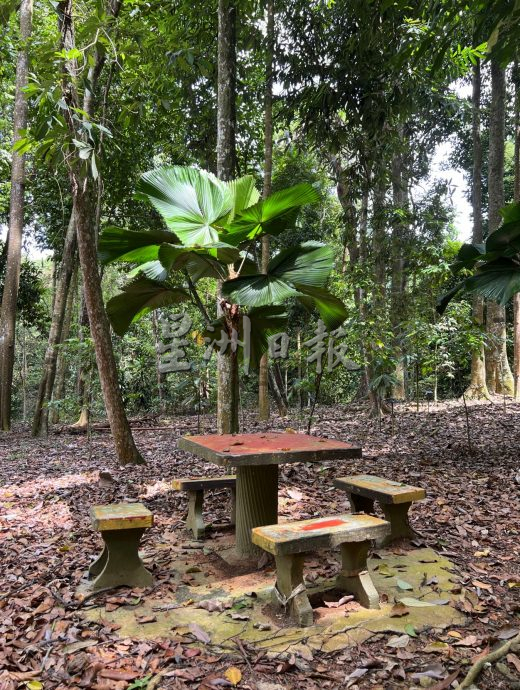 《用眼睛去旅游》：植物公园