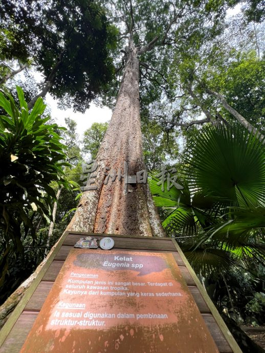 《用眼睛去旅游》：植物公园