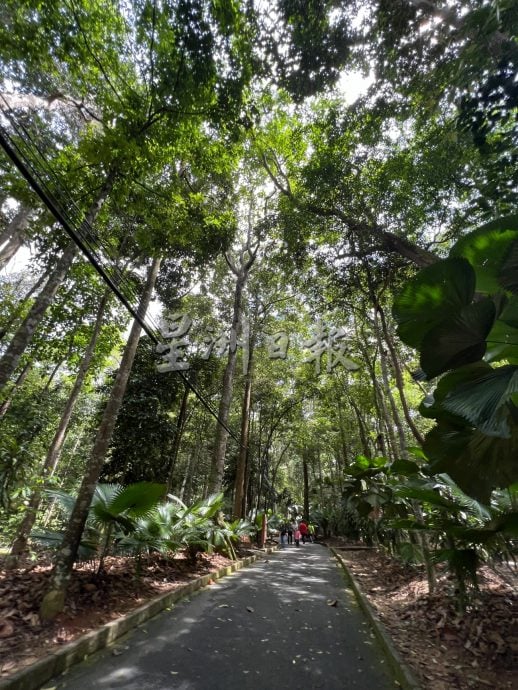 《用眼睛去旅游》：植物公园