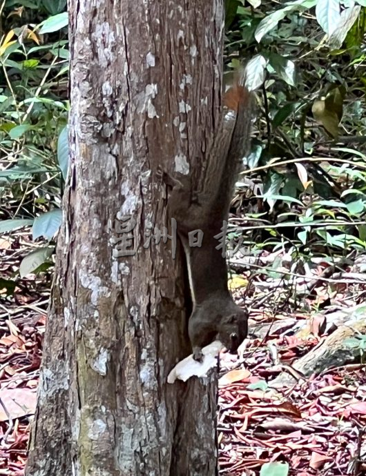 《用眼睛去旅游》：植物公园