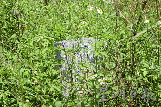 【清明墓志／01】清明话义山：南下华人最后的归宿