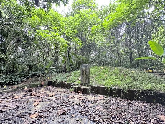 【清明墓志／03】名人墓地追思，铭记先贤开埠功劳