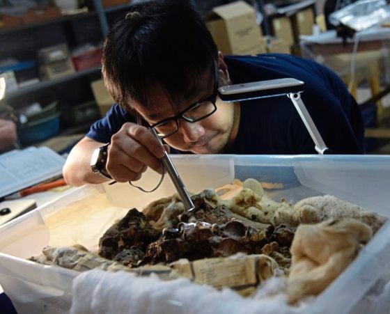 【近打谷探洞／02】古生物化石，发现史前的生命轨迹