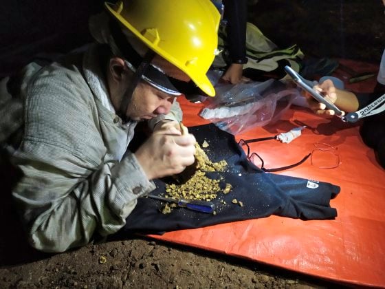 【近打谷探洞／02】古生物化石，发现史前的生命轨迹