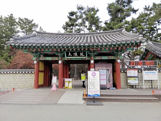 【韩国】在庆州，漫游金城遗迹