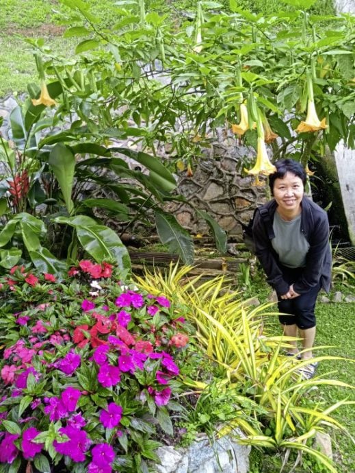 【马来西亚‧彭亨】福隆港——美景相伴,岁月静好