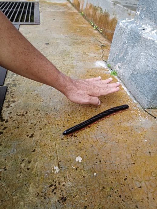 【马来西亚‧彭亨】福隆港——美景相伴,岁月静好