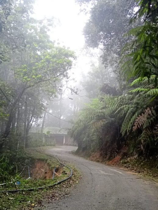 【马来西亚‧彭亨】福隆港——美景相伴,岁月静好
