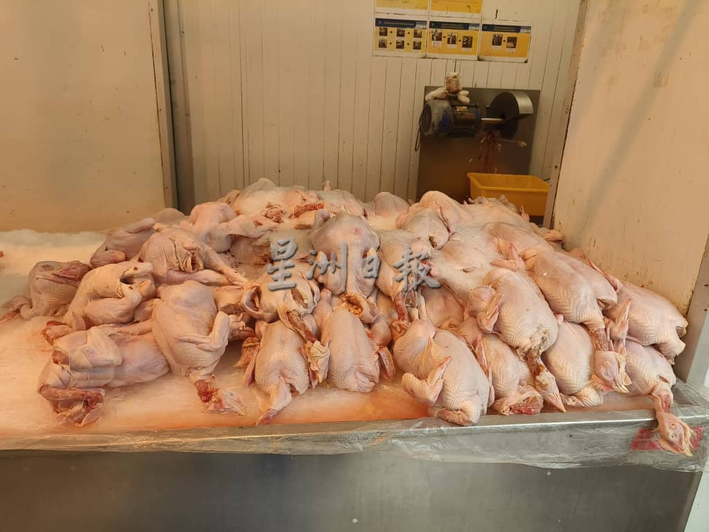 肉鸡鸡蛋市场需求增加 供应充足