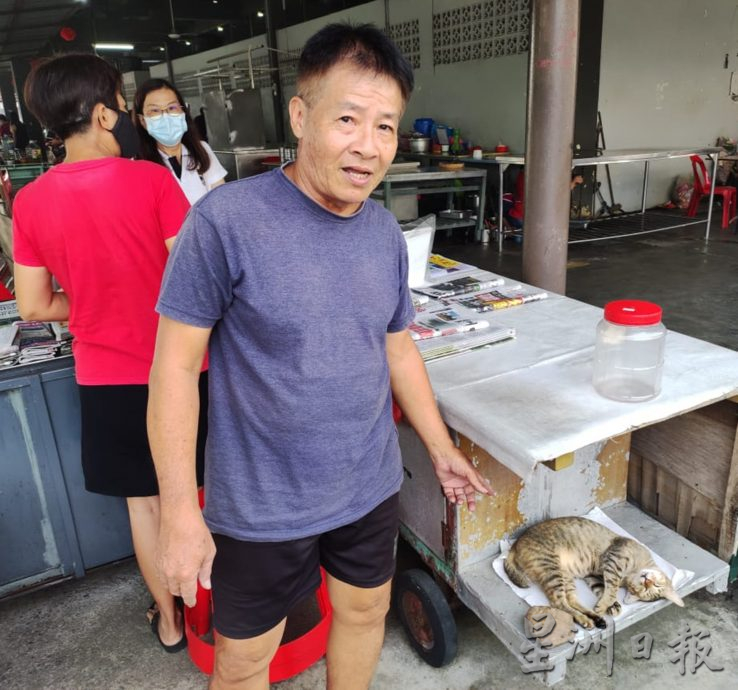 丢弃后廊巴刹 猫狗幼崽活活饿死
