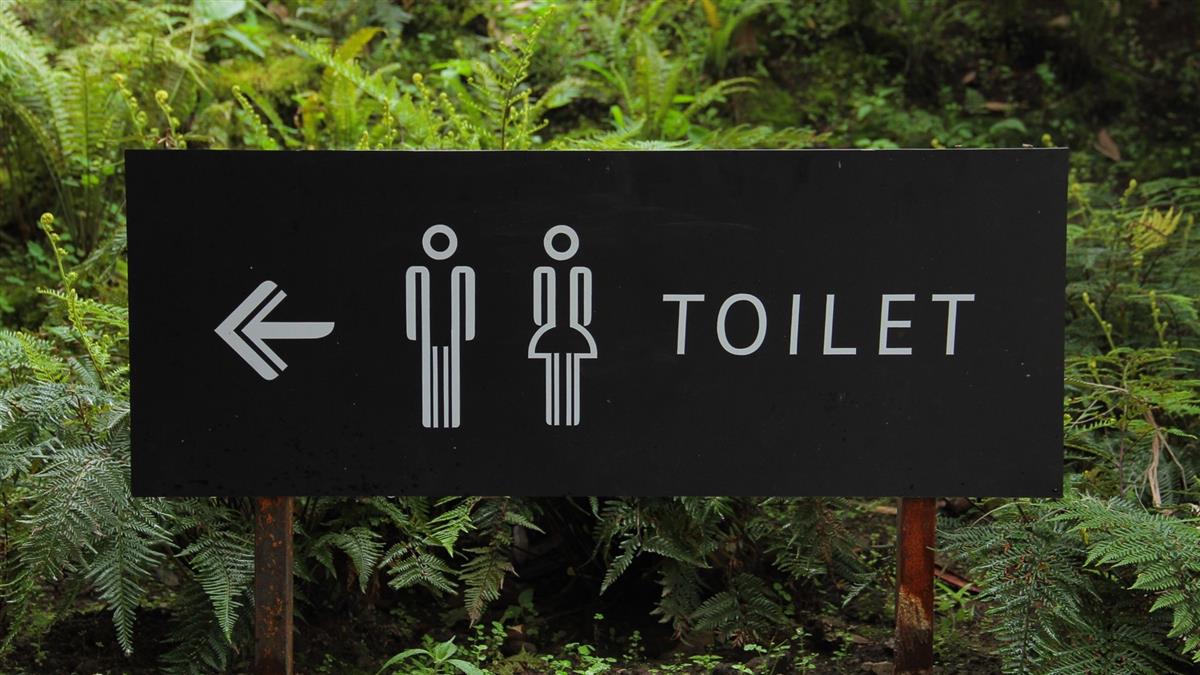 中国大学生“穷游新招”？黄山山顶女厕挤爆“睡满人”