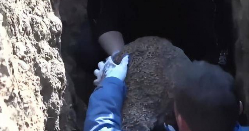 中国水库大坝挖出“1王3后”白蚁巢穴　专家估破百万只：生长超过10年 