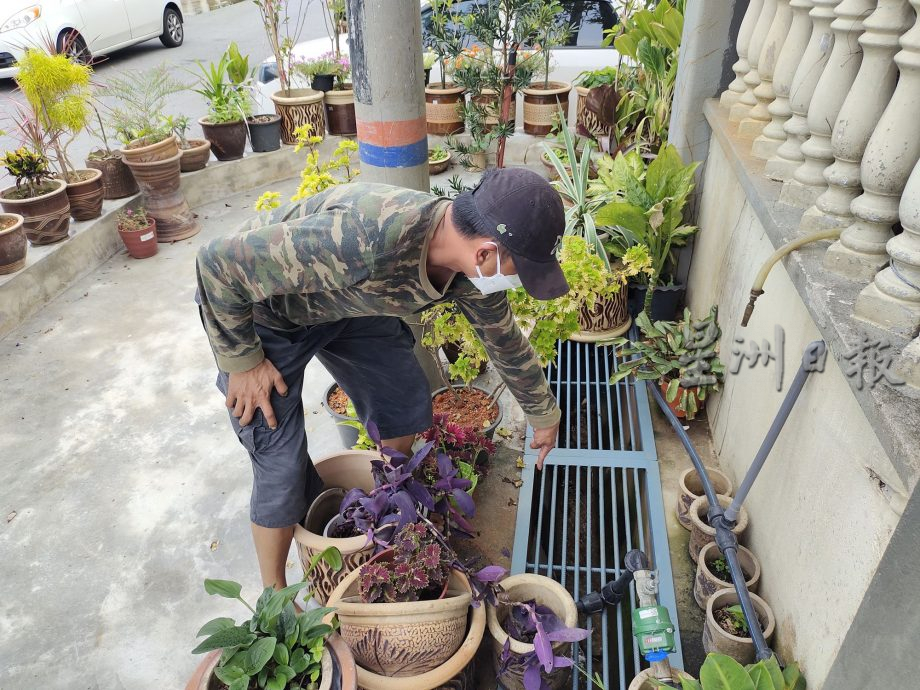 身份不明男子指示华妇撤走栽种屋前花树,并拍视频上载社媒,华妇儿子不明居心何在