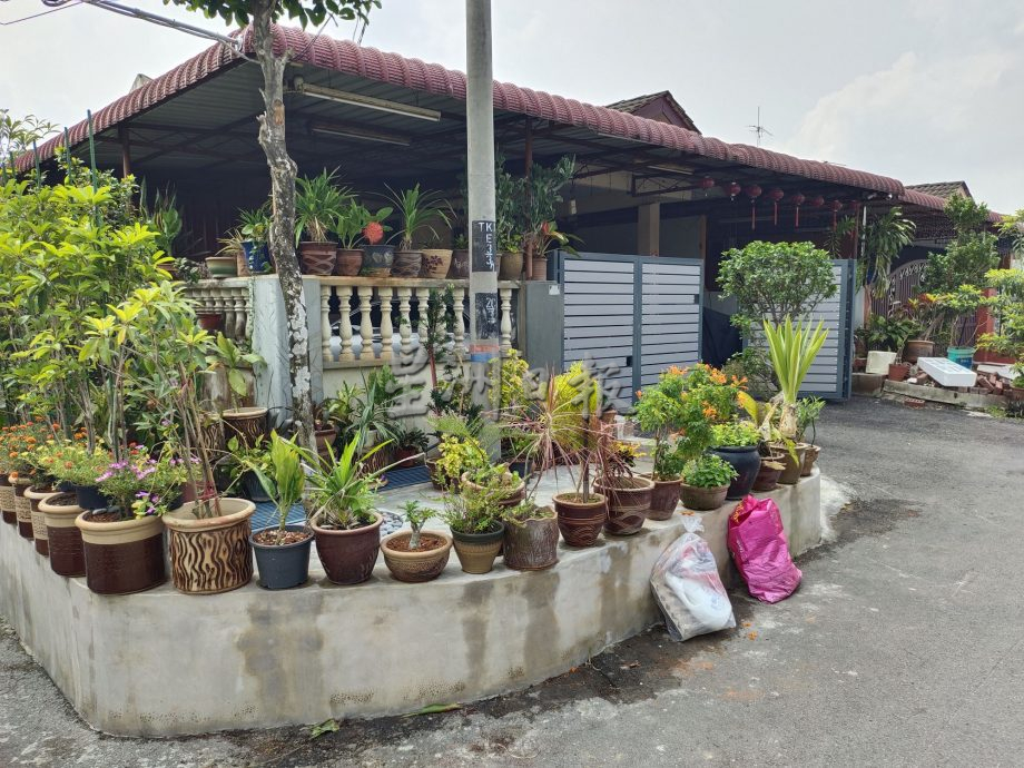 身份不明男子指示华妇撤走栽种屋前花树,并拍视频上载社媒,华妇儿子不明居心何在